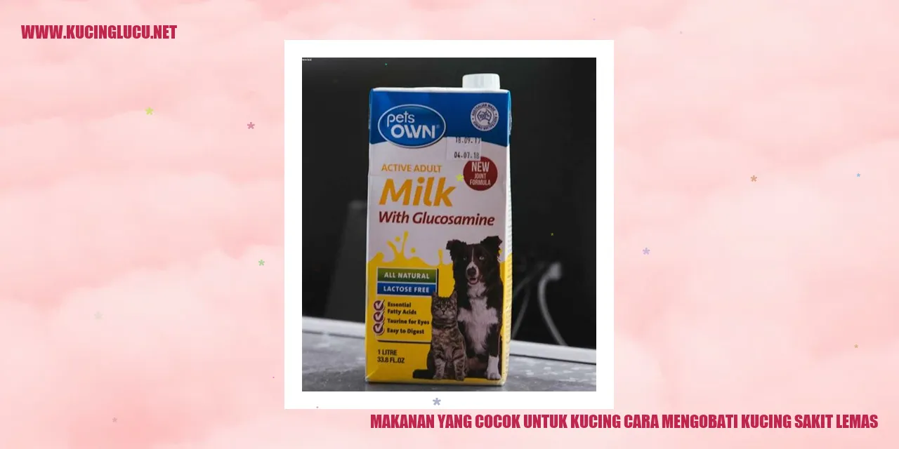Makanan untuk kucing