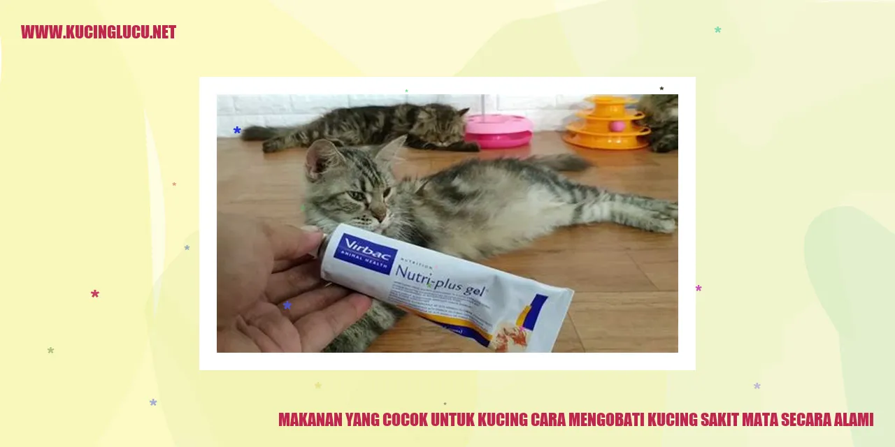Gambar Kucing
