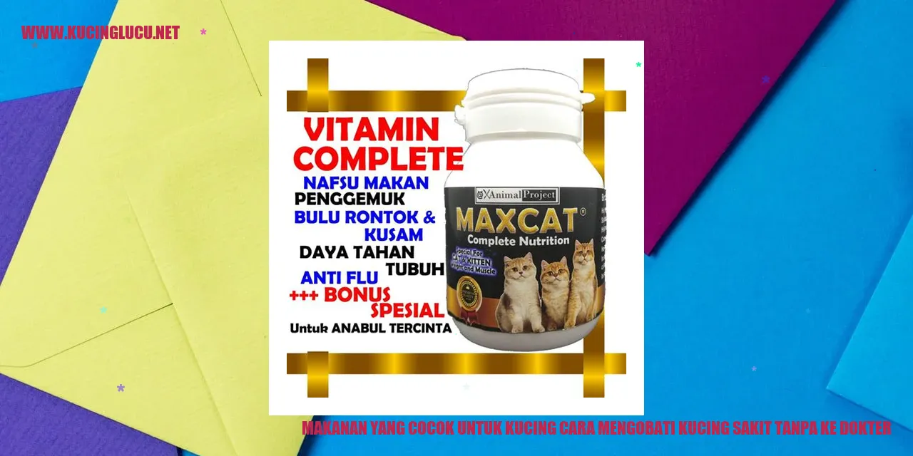 Gizi Sehat untuk Kucing
