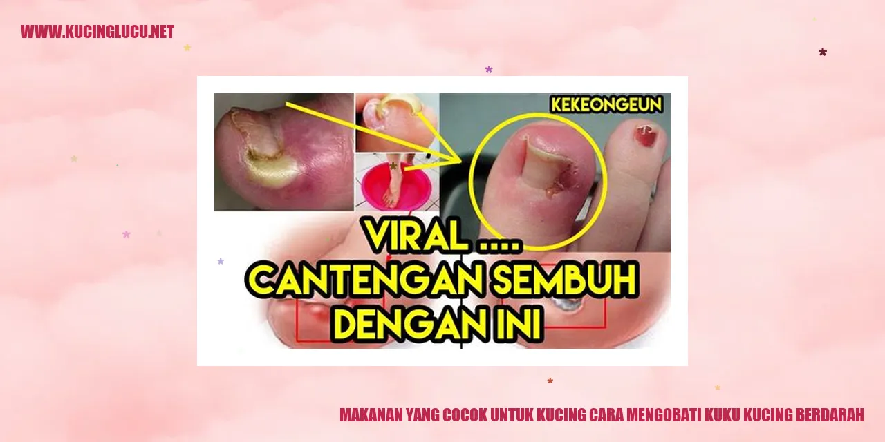 Makanan cocok untuk kucing