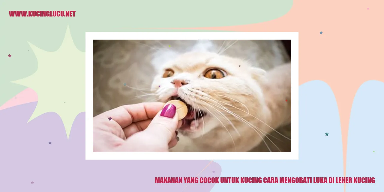 Gambar Kucing