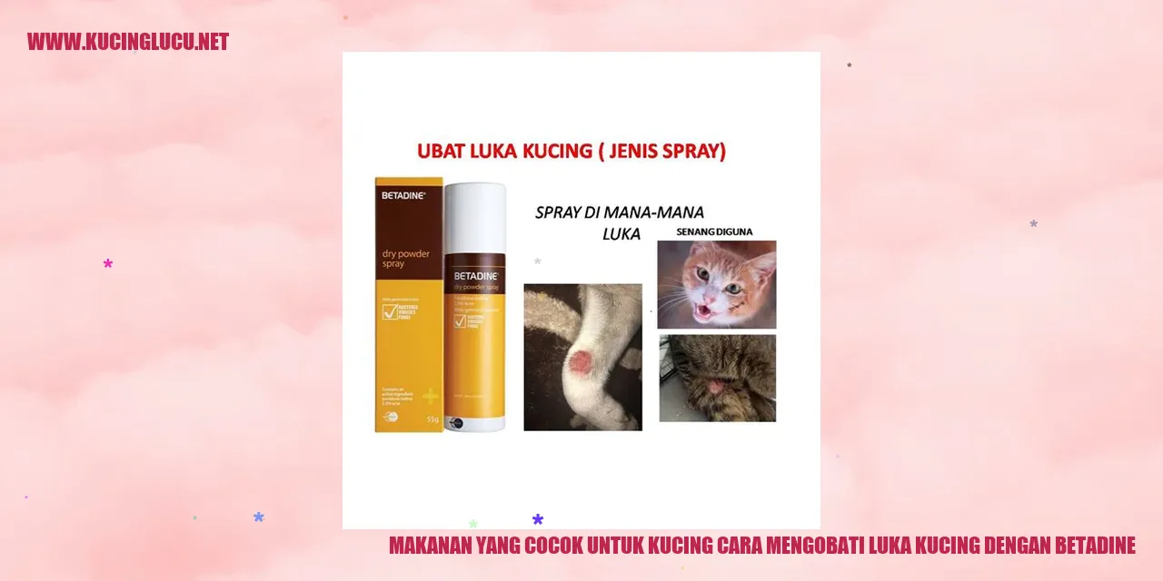 Makanan yang Cocok untuk Kucing