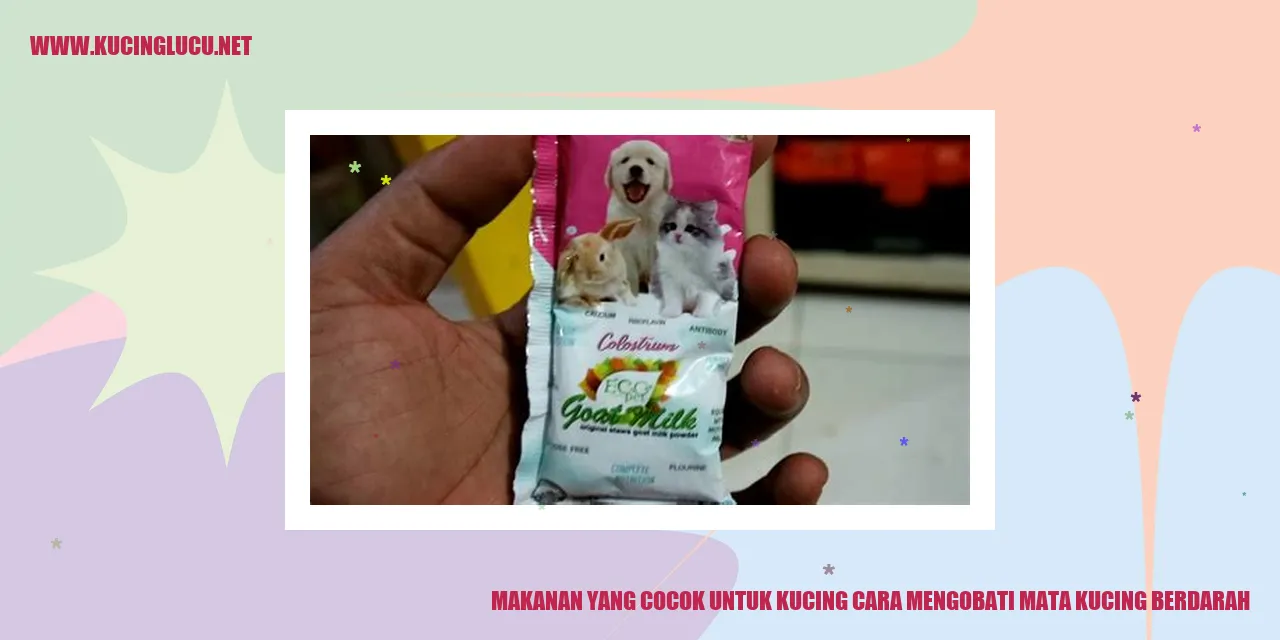 Makanan yang Cocok untuk Kucing cara mengobati mata kucing berdarah