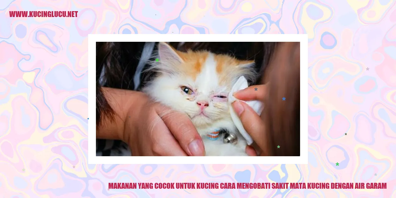 Makanan yang Cocok untuk Kucing