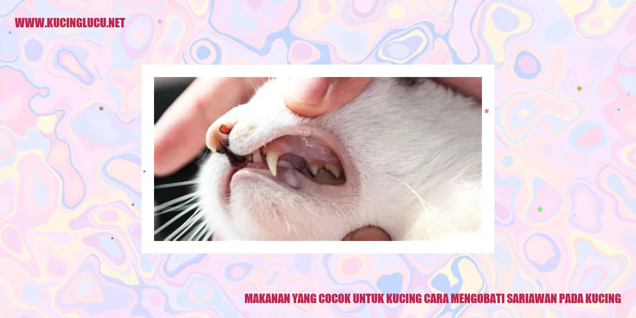 Makanan yang Cocok untuk Kucing