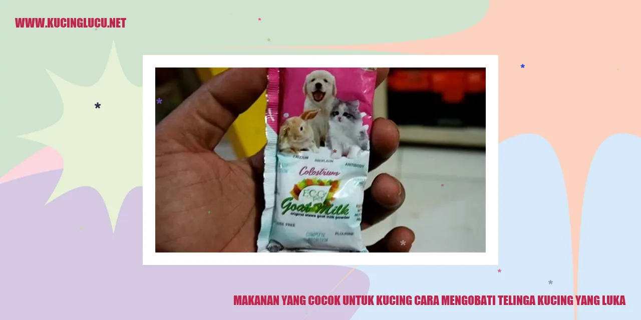 Makanan yang Cocok untuk Kucing
