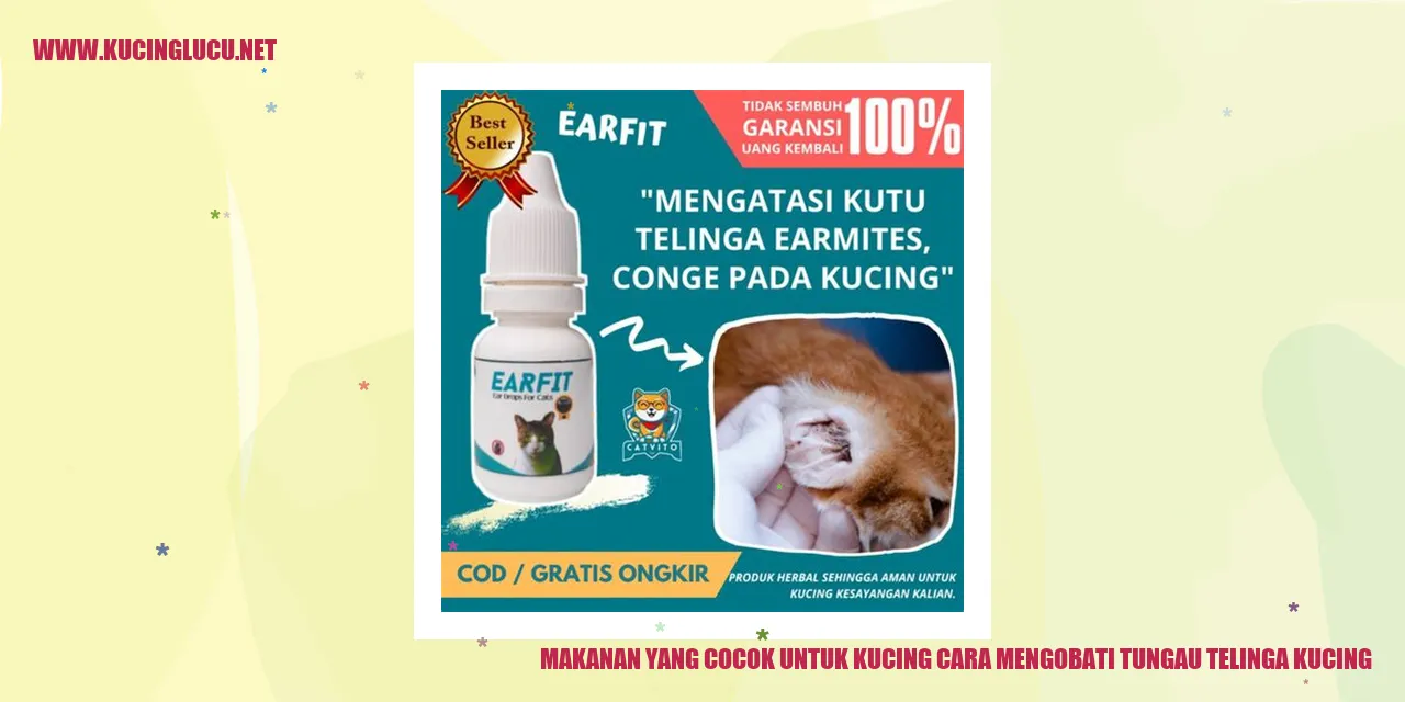 Makanan yang Cocok untuk Kucing