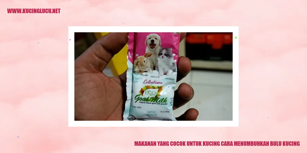 Makanan yang Cocok untuk Kucing cara menumbuhkan bulu kucing