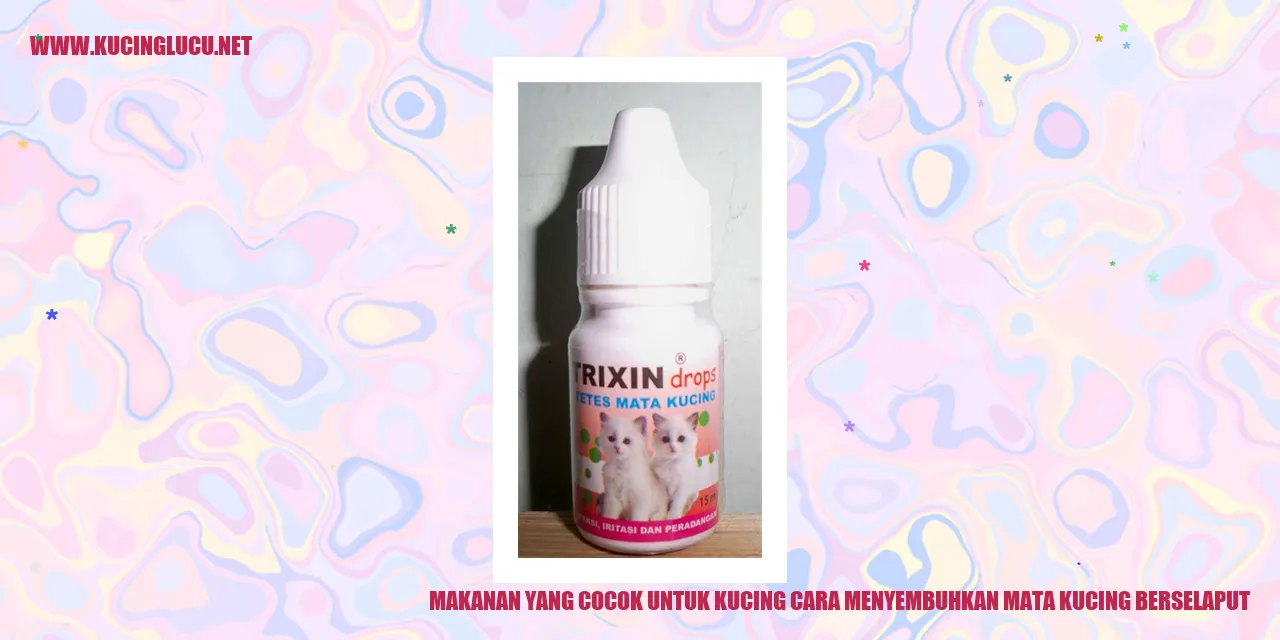 Makanan untuk Kucing
