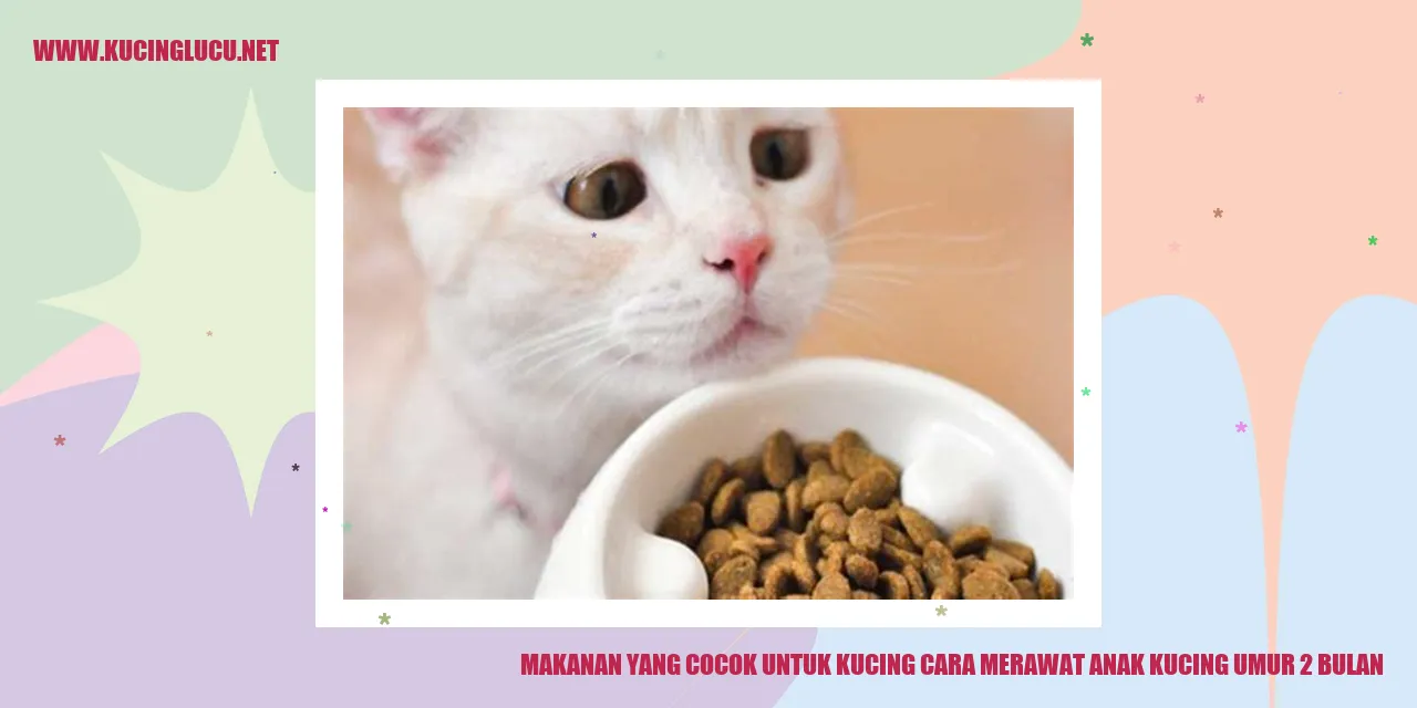 Makanan untuk Kucing