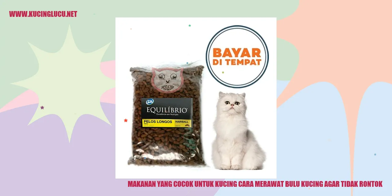 Kucing dengan bulu indah