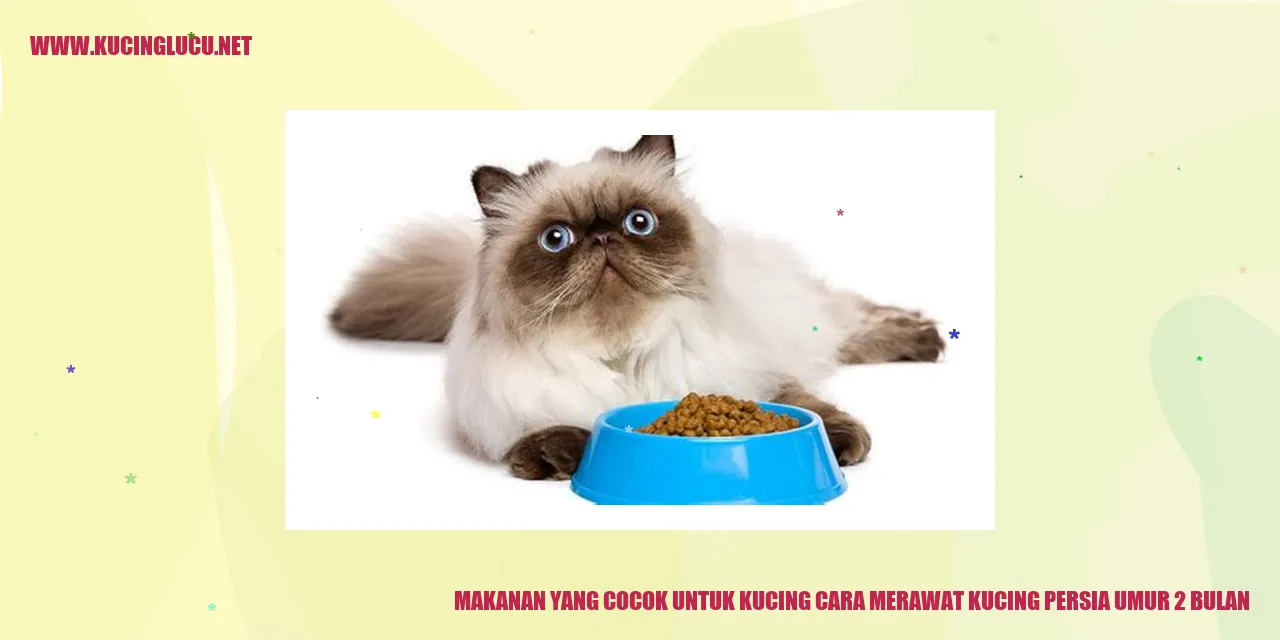 Kucing Persia
