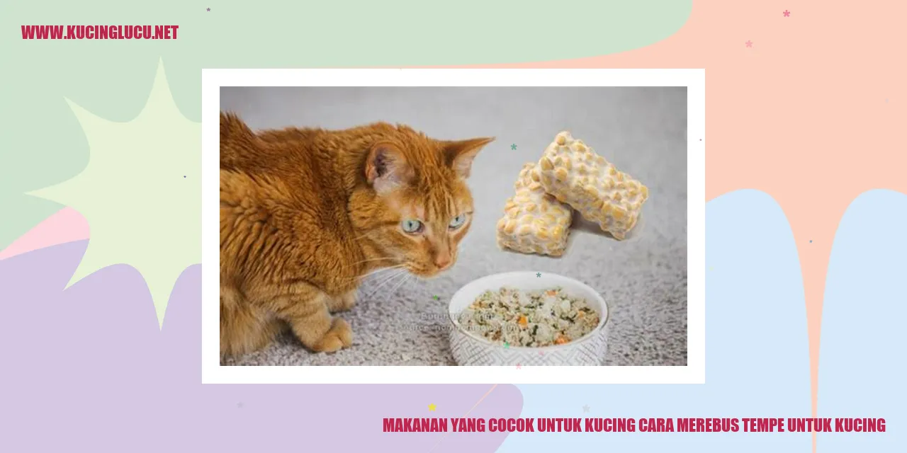 Makanan untuk Kucing