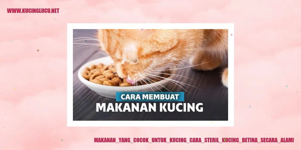 Makanan yang Cocok untuk Kucing cara steril kucing betina secara alami