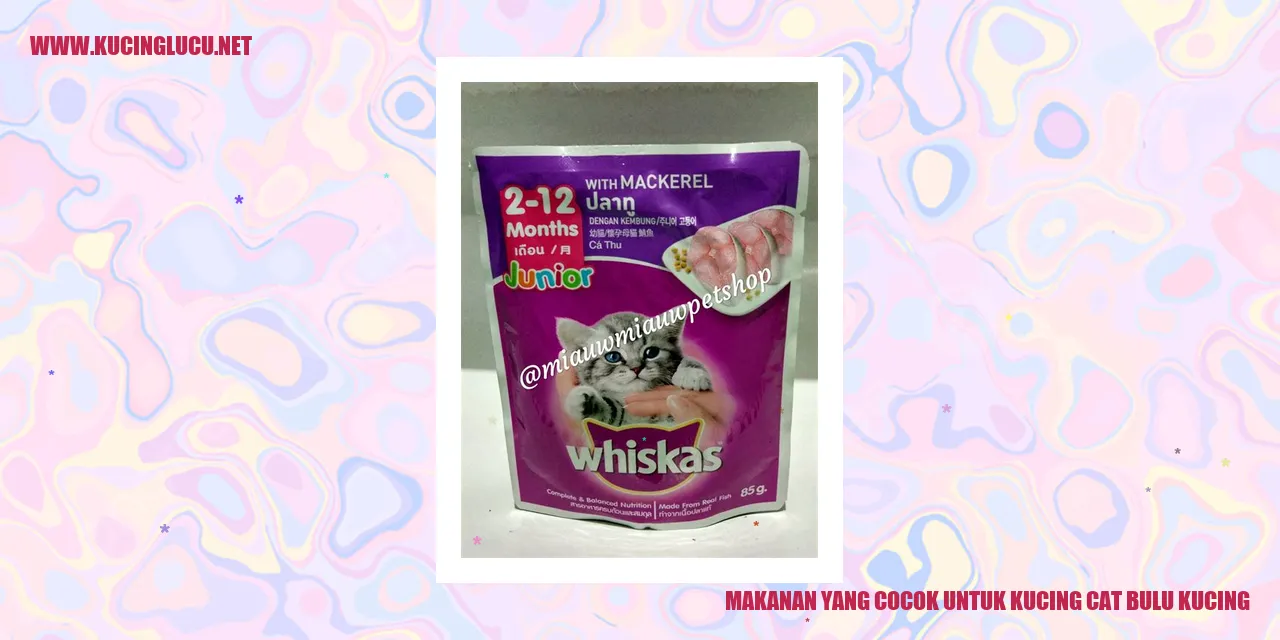 Kucing dengan bulu yang sehat