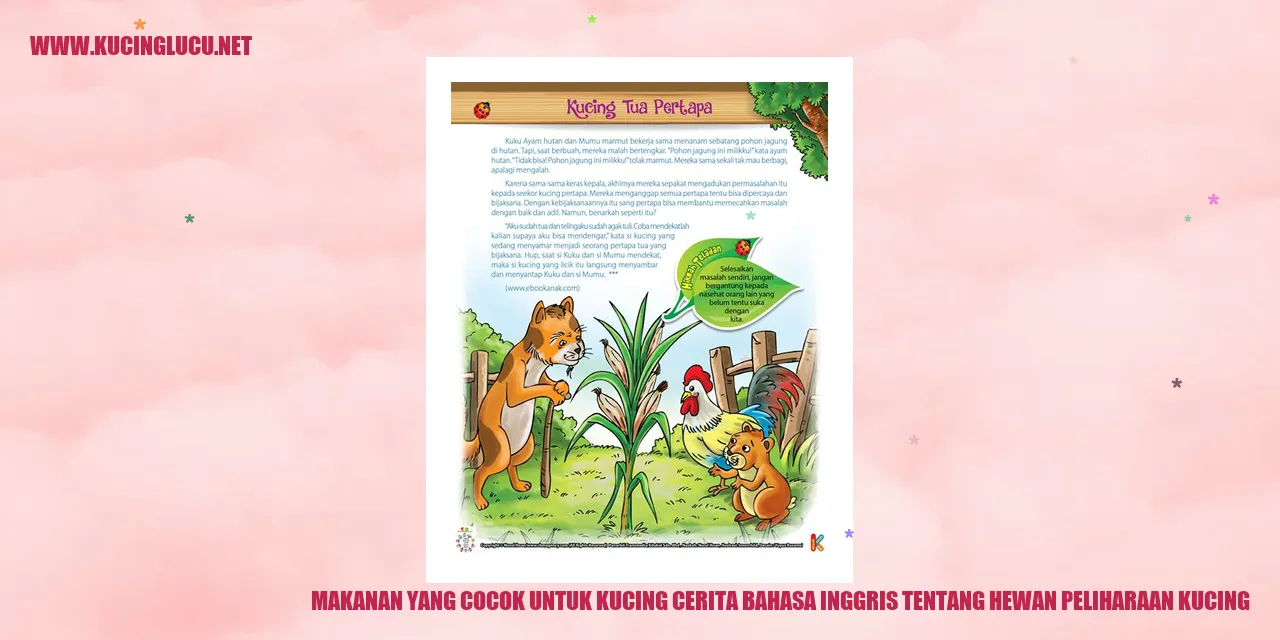 gambar makanan kucing