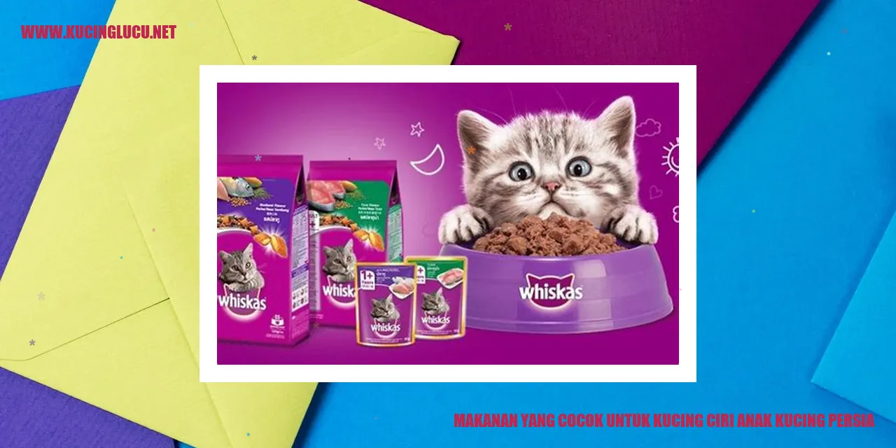 gambar kucing persia