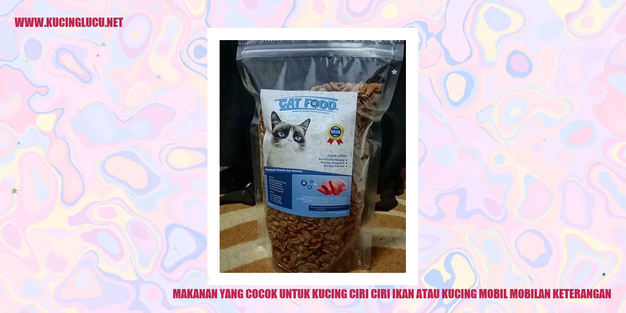 Gizi Kucing butuh Ikan