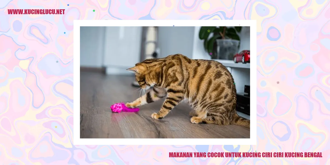 Gambar Kucing Bengal