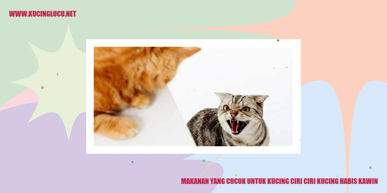 Gambar Kucing