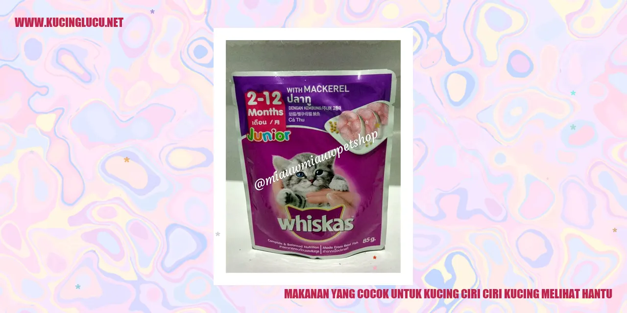 Gambar Makanan Kucing
