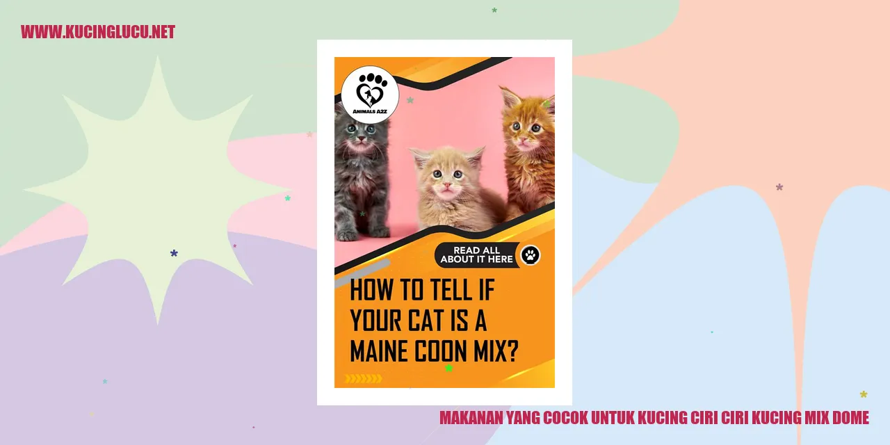 Gambar Makanan Kucing