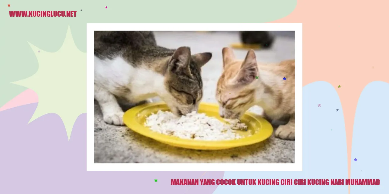 makanan kucing