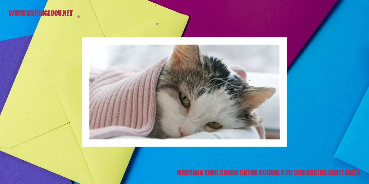 Makanan yang Cocok untuk Kucing ciri ciri kucing sakit mata