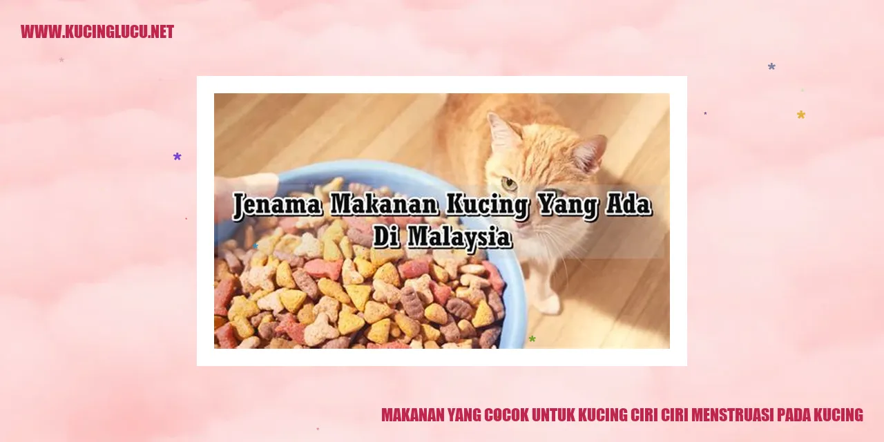 Makanan yang Cocok untuk Kucing ciri ciri menstruasi pada kucing