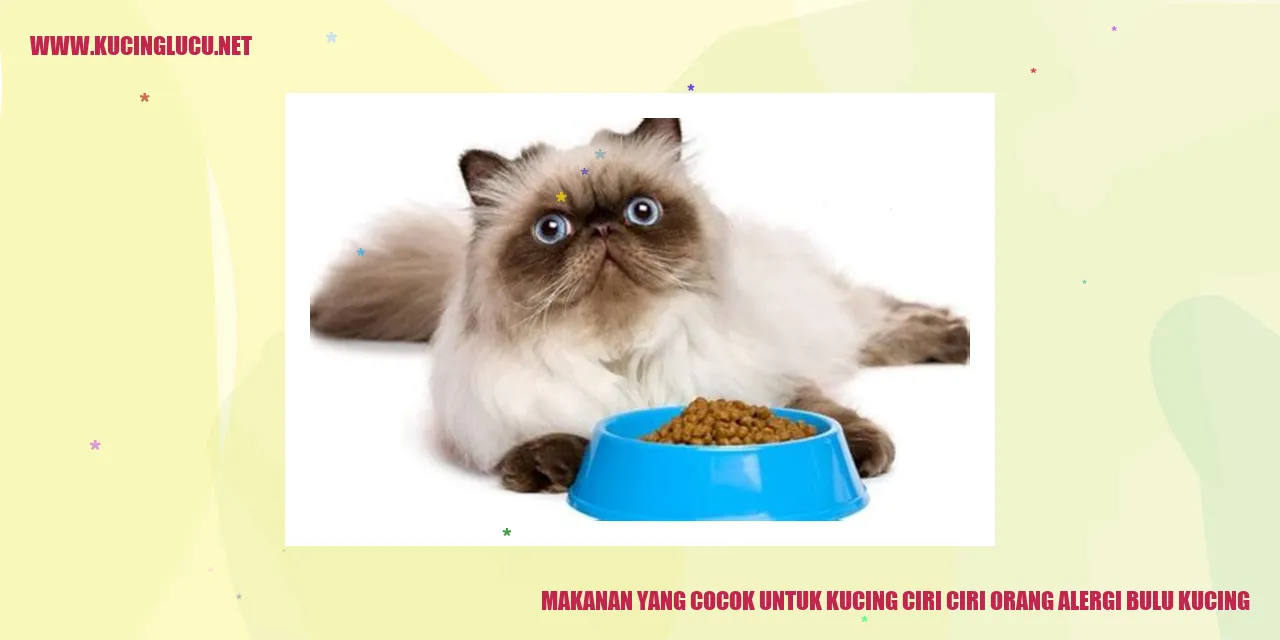 Makanan yang Cocok untuk Kucing ciri ciri orang alergi bulu kucing