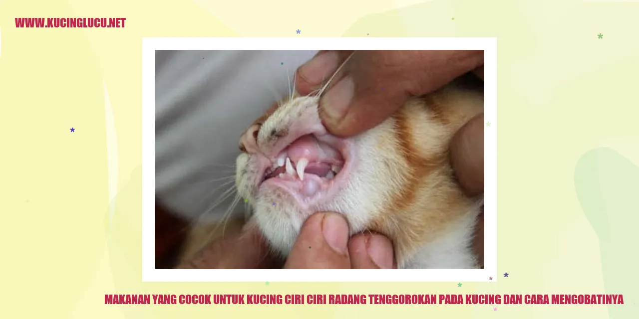 gambar kucing