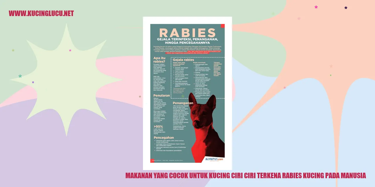 Makanan yang Cocok untuk Kucing ciri ciri terkena rabies kucing pada manusia