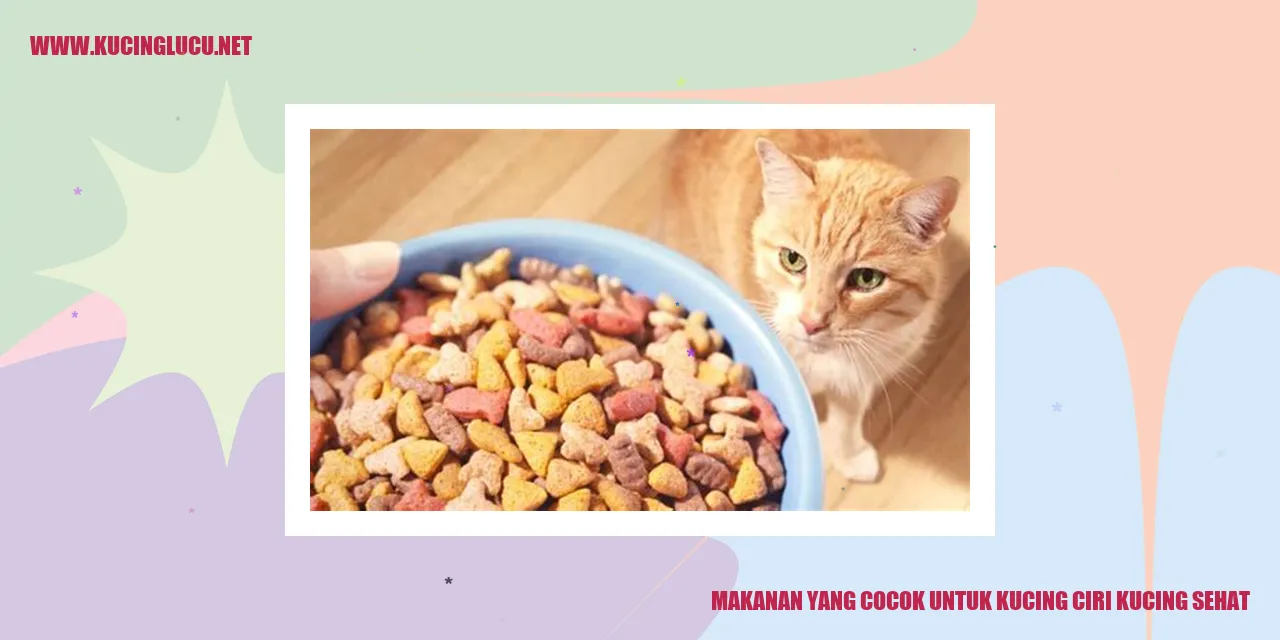 Makanan yang Cocok untuk Kucing ciri kucing sehat
