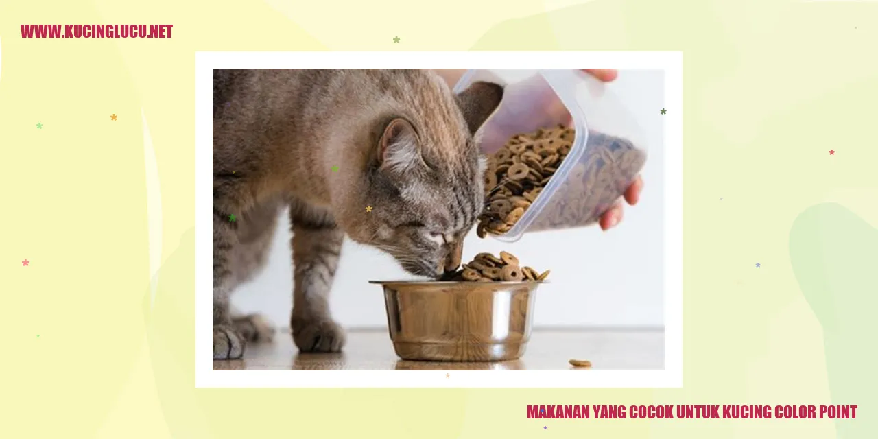 Kucing Color Point