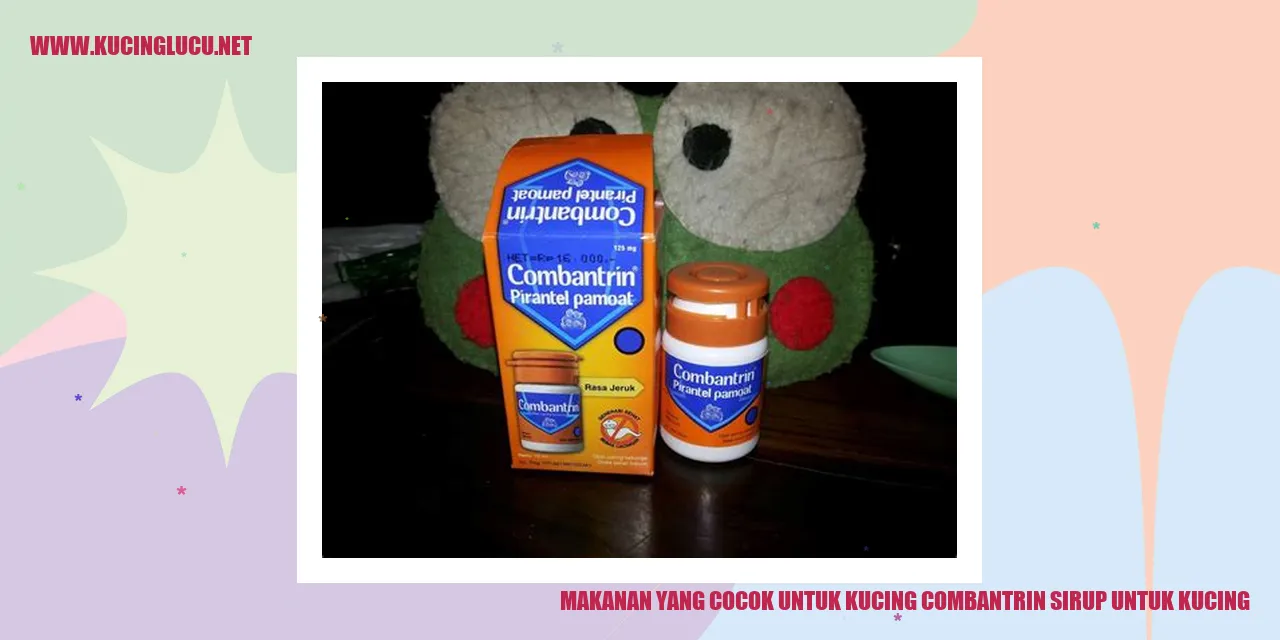 Gambar Makanan untuk Kucing