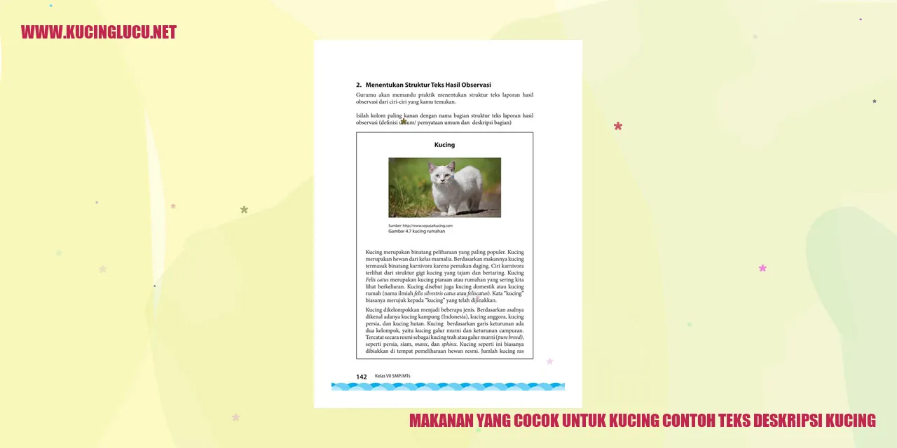 Makanan yang Cocok untuk Kucing