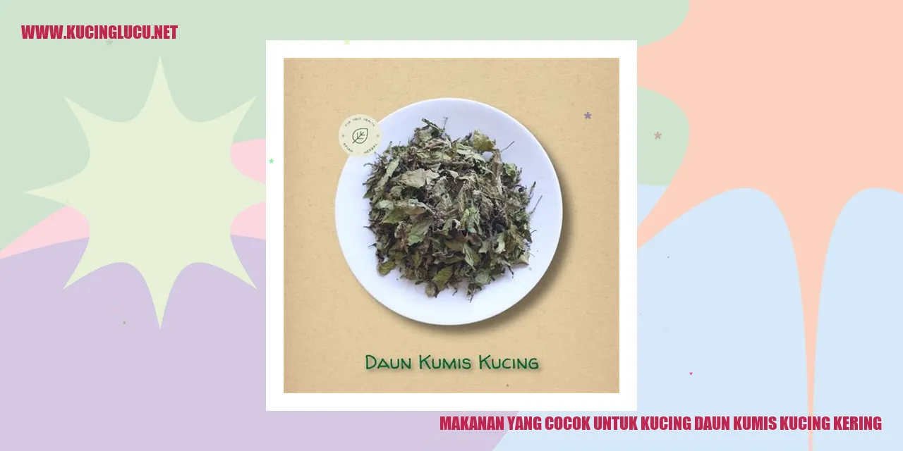 gambar makanan sehat untuk kucing