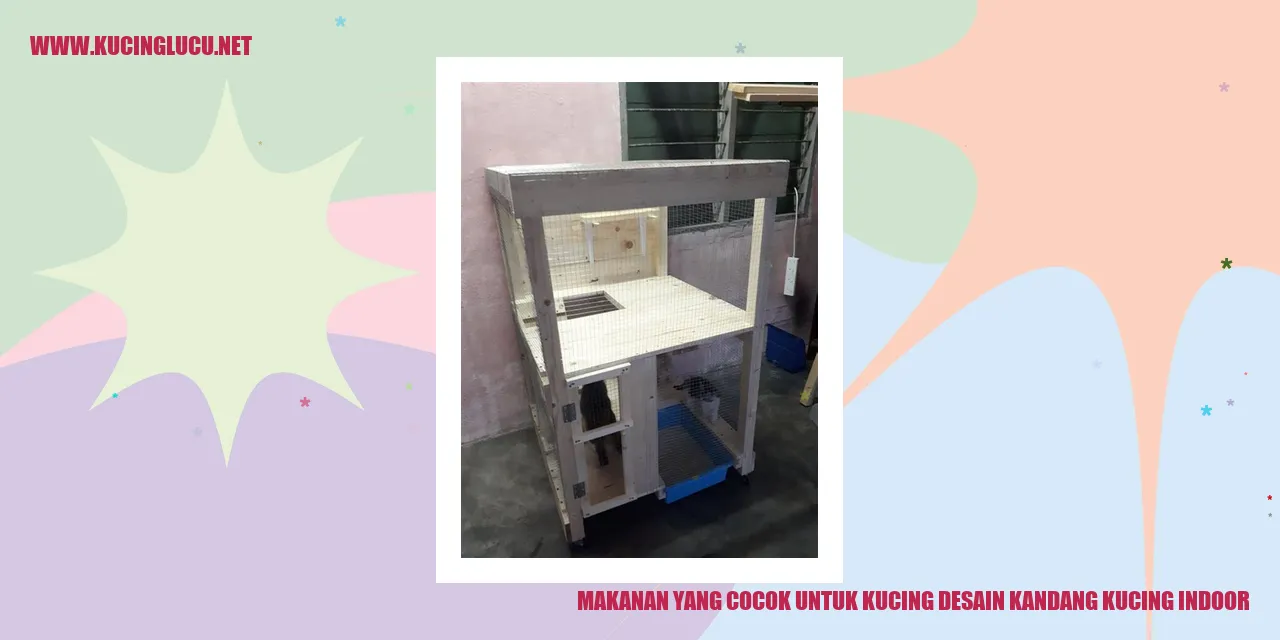 makanan kucing indoor