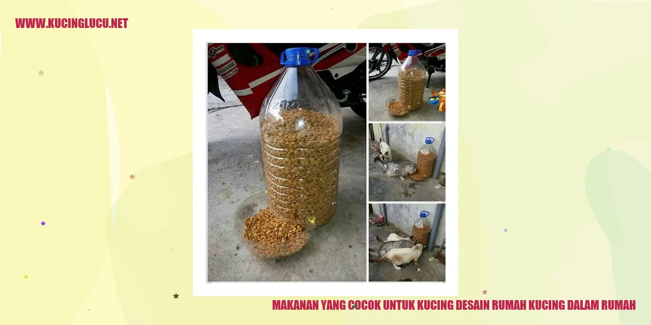 Makanan yang Pas untuk Kucing