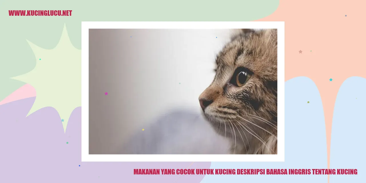 Makanan yang Cocok untuk Kucing