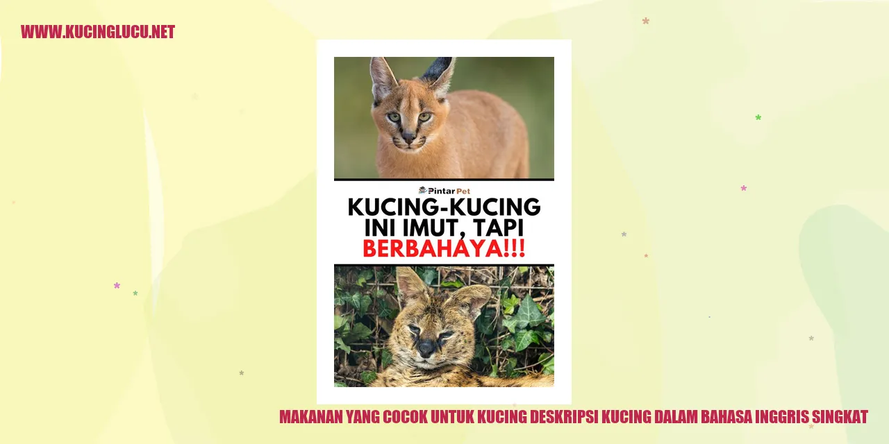 deskripsi kucing dalam bahasa inggris singkat