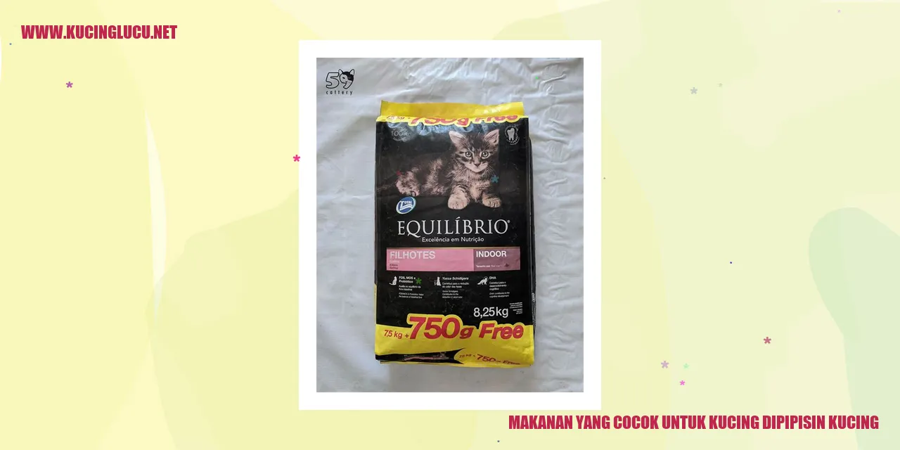 Makanan yang Cocok untuk Kucing dipipisin kucing