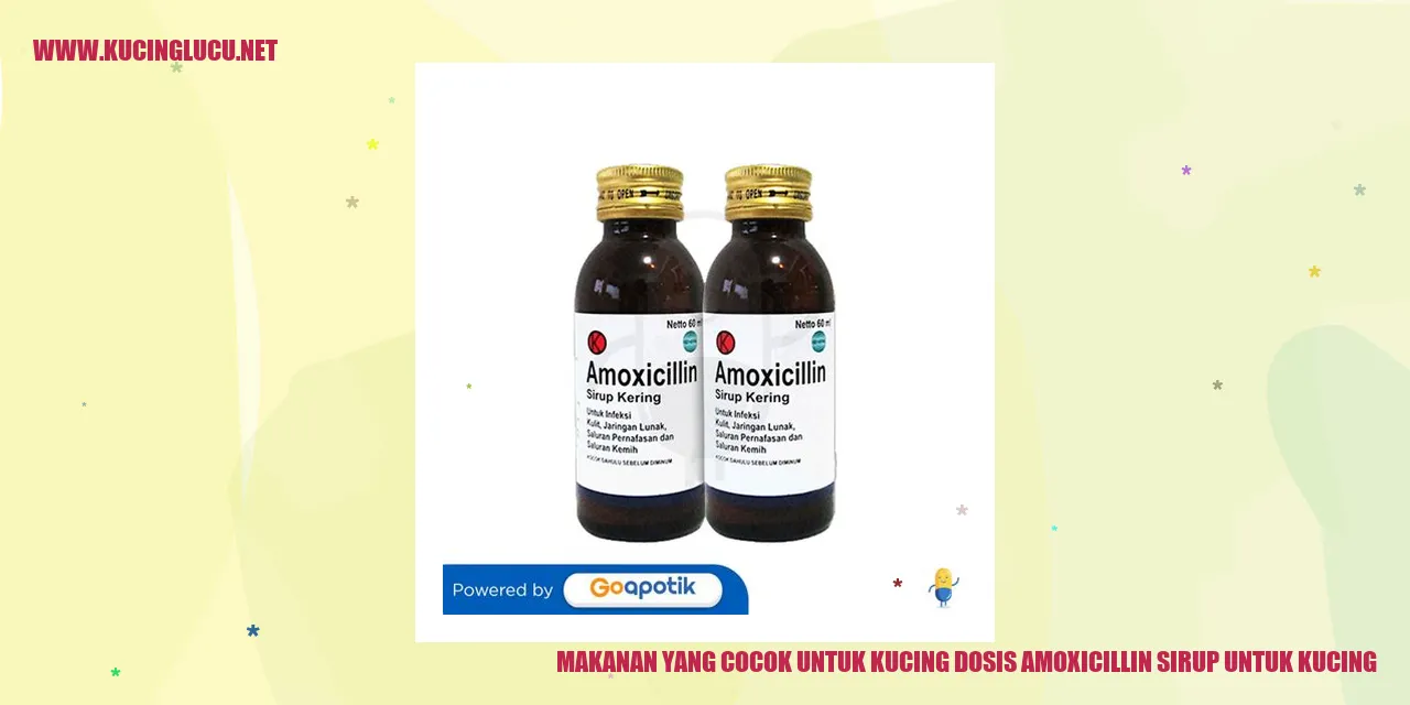 gambar kucing makanan
