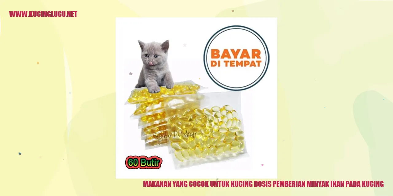Makanan yang Cocok untuk Kucing