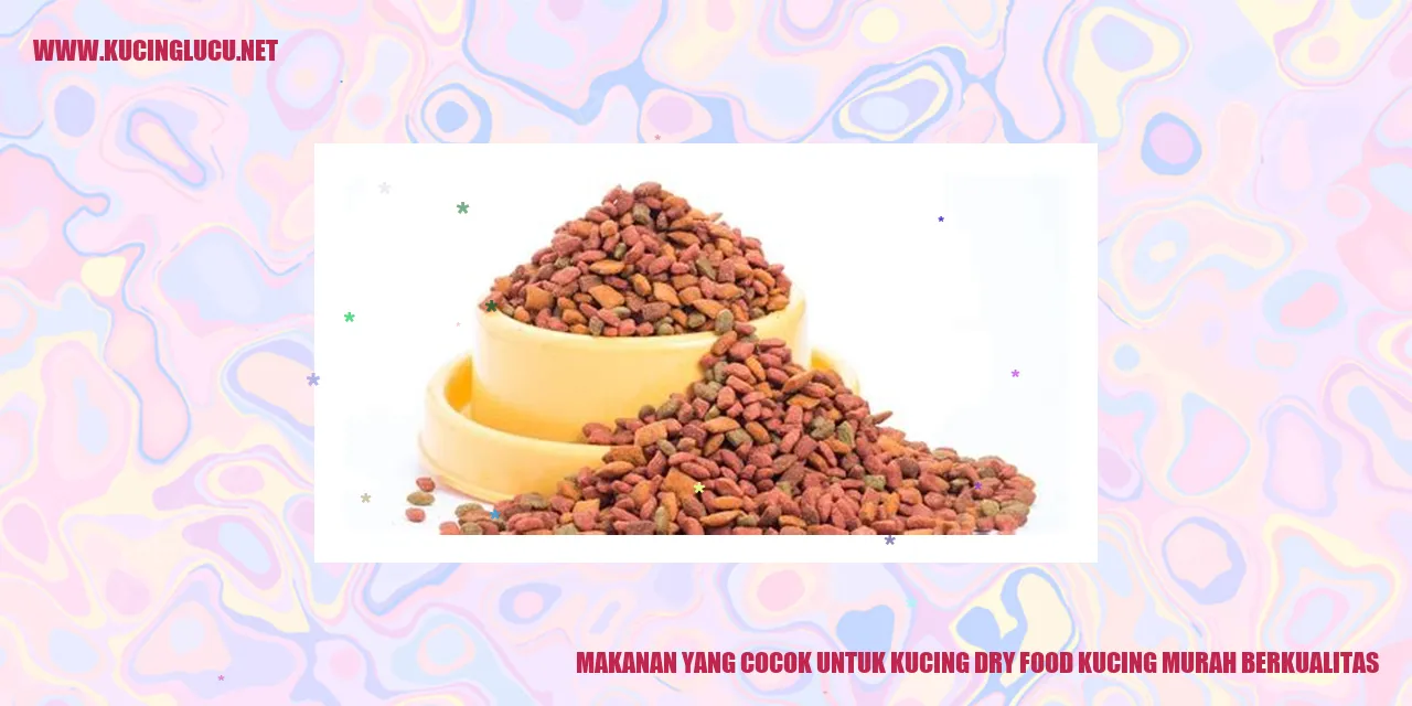 Makanan yang Cocok untuk Kucing