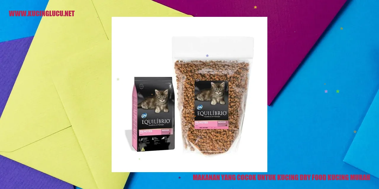 Makanan Kucing yang Murah