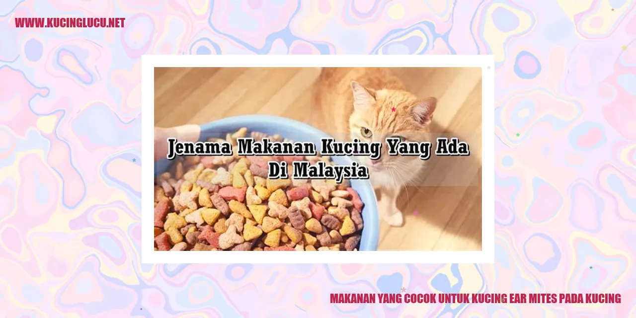 Gambar kucing yang lucu