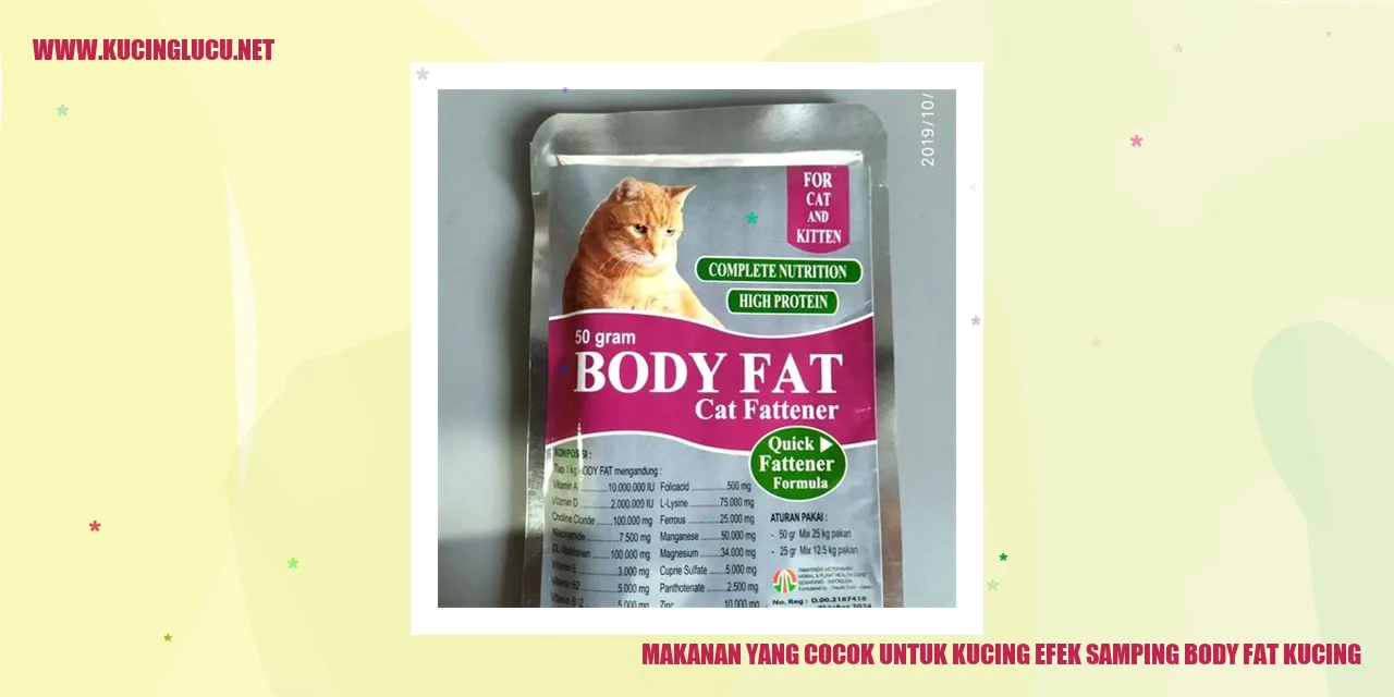 Makanan yang Cocok untuk Kucing