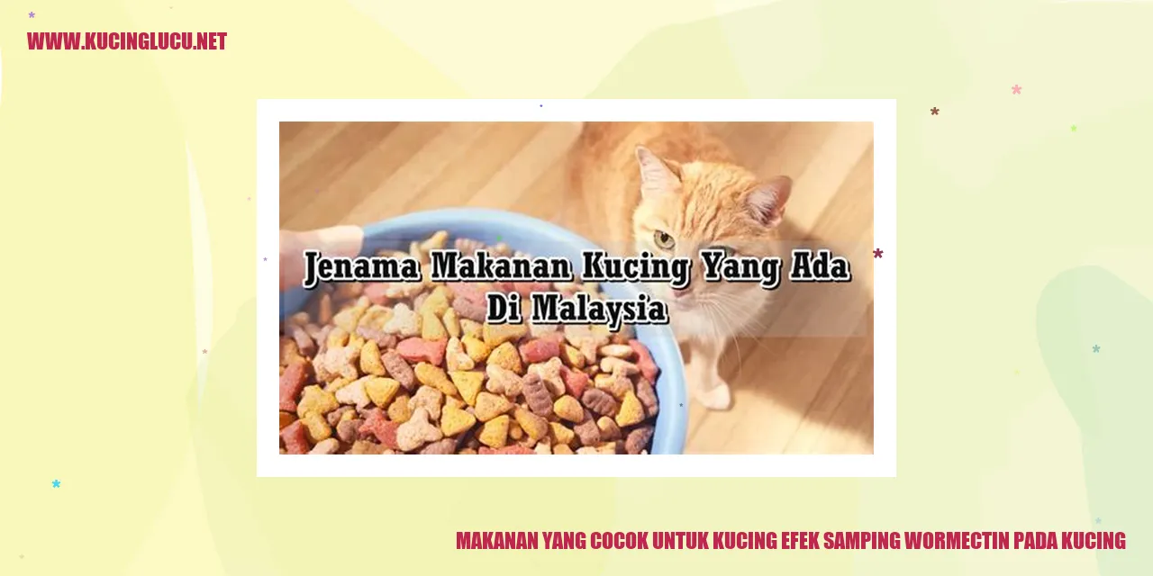 Makanan yang Cocok untuk Kucing