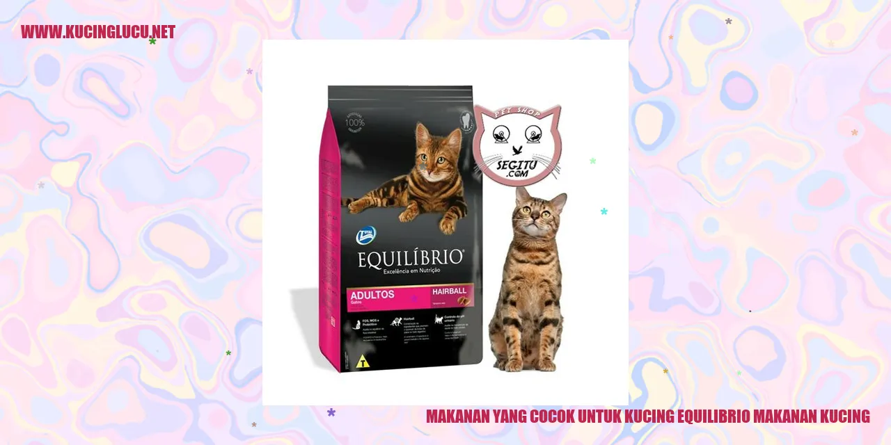 Makanan yang Cocok untuk Kucing